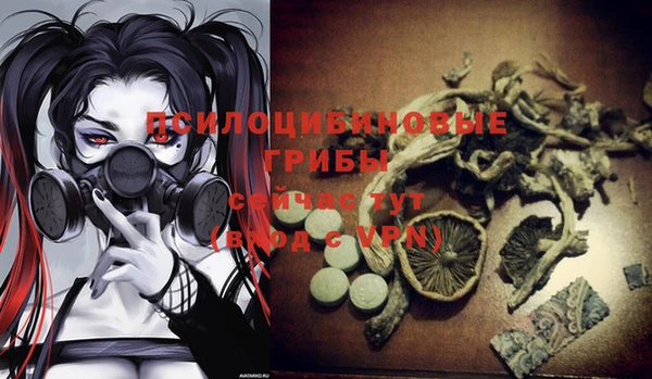 дживик Нефтекумск