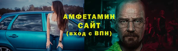 амф Новозыбков