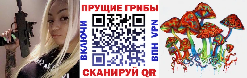 Псилоцибиновые грибы мицелий  наркошоп  Изобильный 