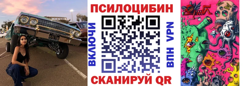 Галлюциногенные грибы Psilocybe Изобильный