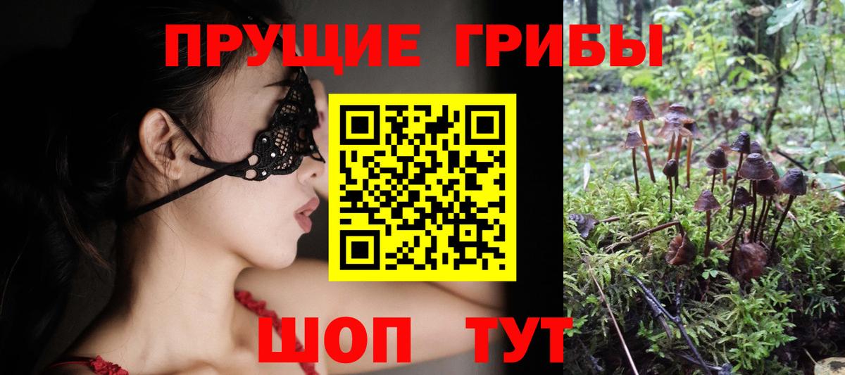 Псилоцибиновые грибы Psilocybe Изобильный