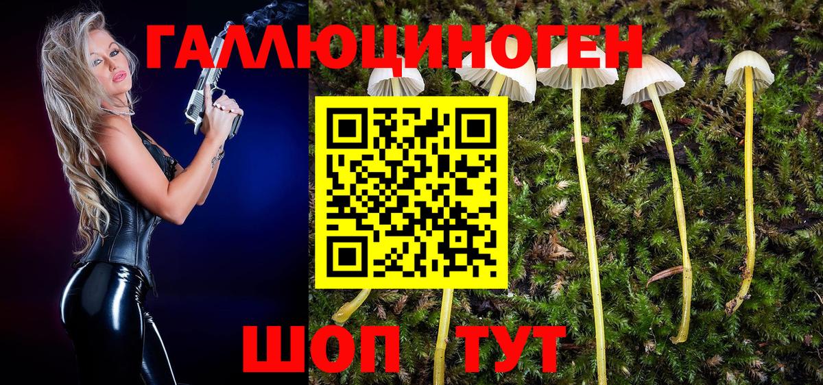 Галлюциногенные грибы MAGIC MUSHROOMS  Изобильный  Псилоцибиновые грибы GOLDEN TEACHER 