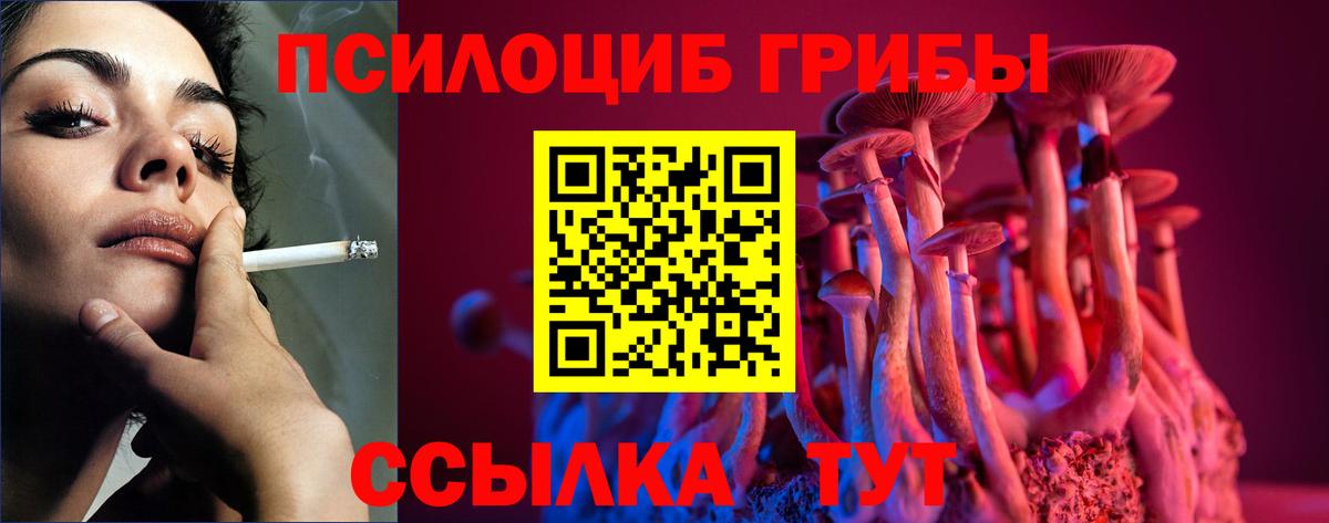 Галлюциногенные грибы Psilocybine cubensis Изобильный